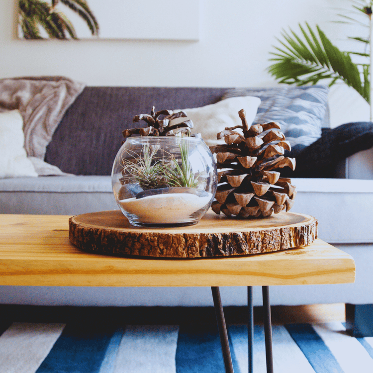 Decorate with Creativity